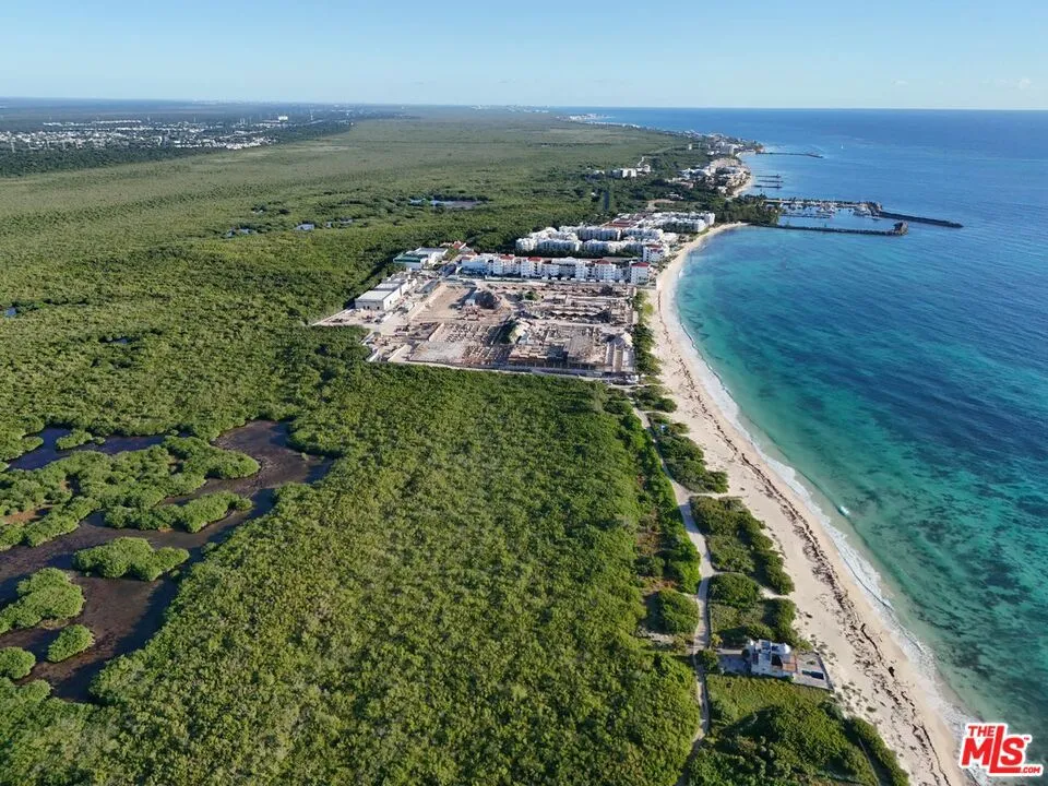 Puerto Morelos, Quintana Roo, Cancun Mexico 
