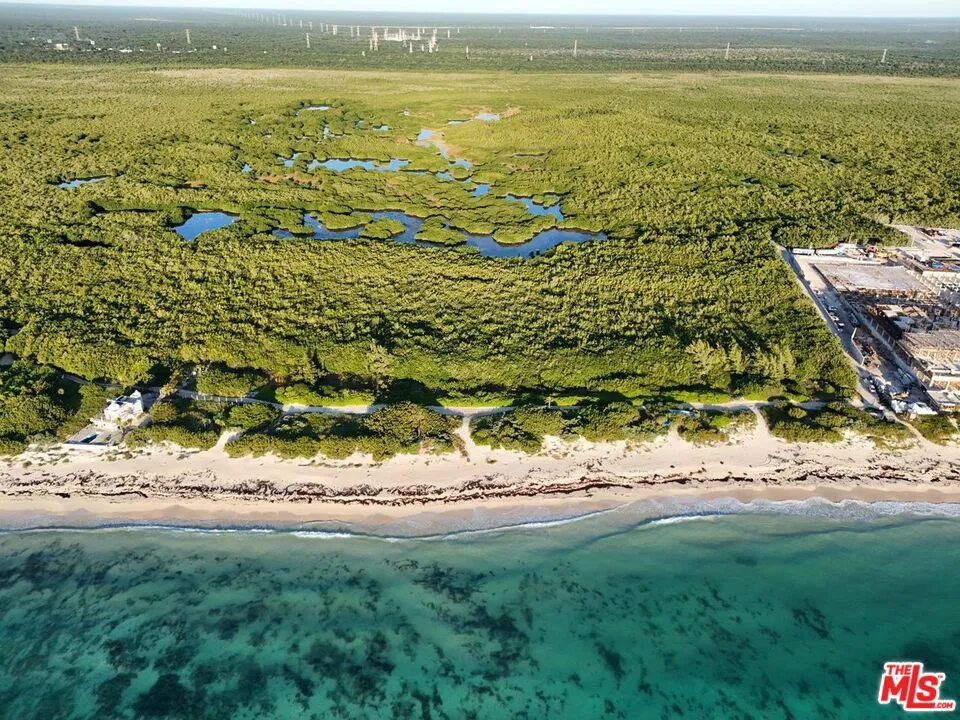 Puerto Morelos, Quintana Roo, Cancun Mexico 