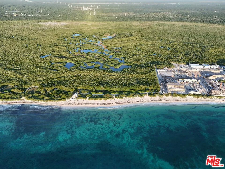Puerto Morelos, Quintana Roo, Cancun Mexico 