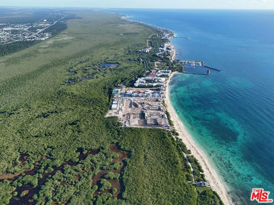 Puerto Morelos, Quintana Roo, Cancun Mexico 