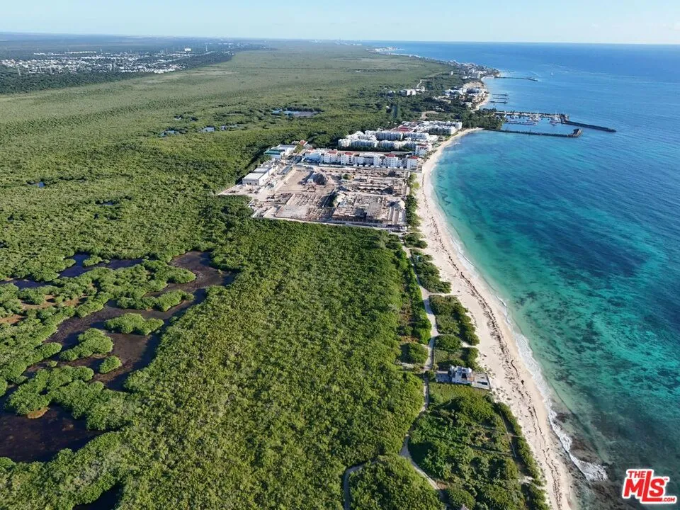 Puerto Morelos, Quintana Roo, Cancun Mexico 