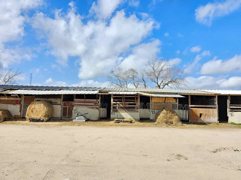1502 Jenkins Road Pasadena, TX 77506