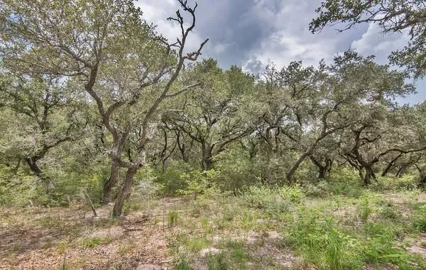 12 Pr 4061 Edna, TX 77957