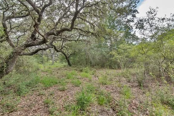 12 Pr 4061 Edna, TX 77957