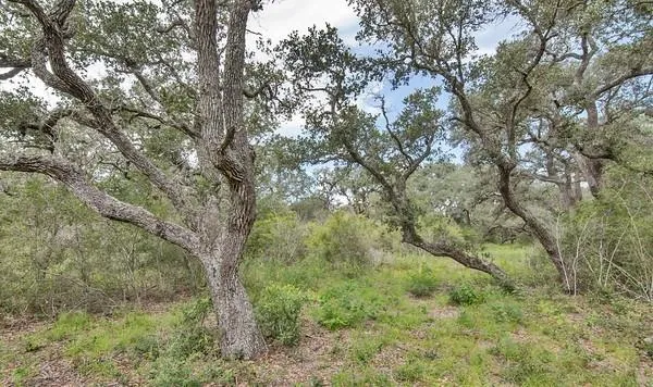 12 Pr 4061 Edna, TX 77957