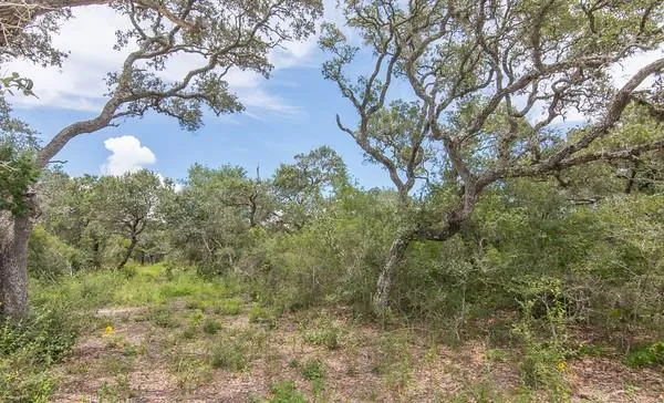 12 Pr 4061 Edna, TX 77957