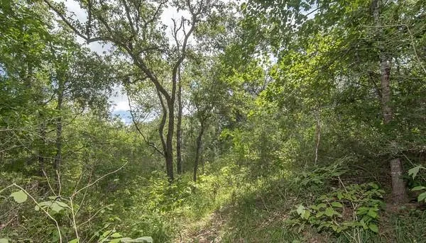 12 Pr 4061 Edna, TX 77957