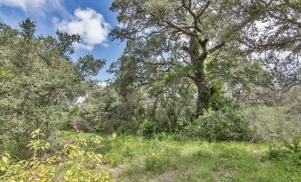 12 Pr 4061 Edna, TX 77957