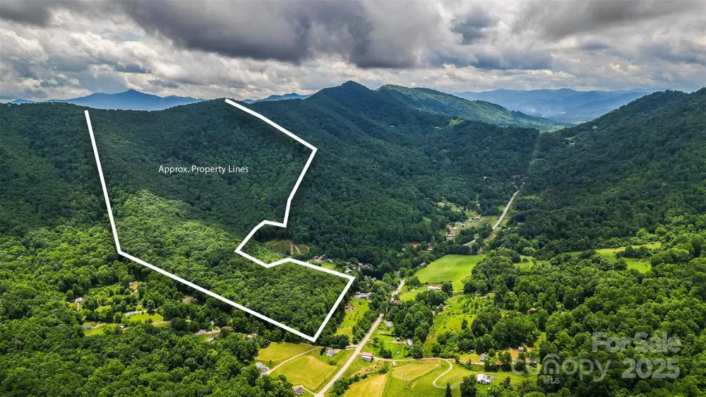 99999 Dark Cove Road Leicester, NC 28748