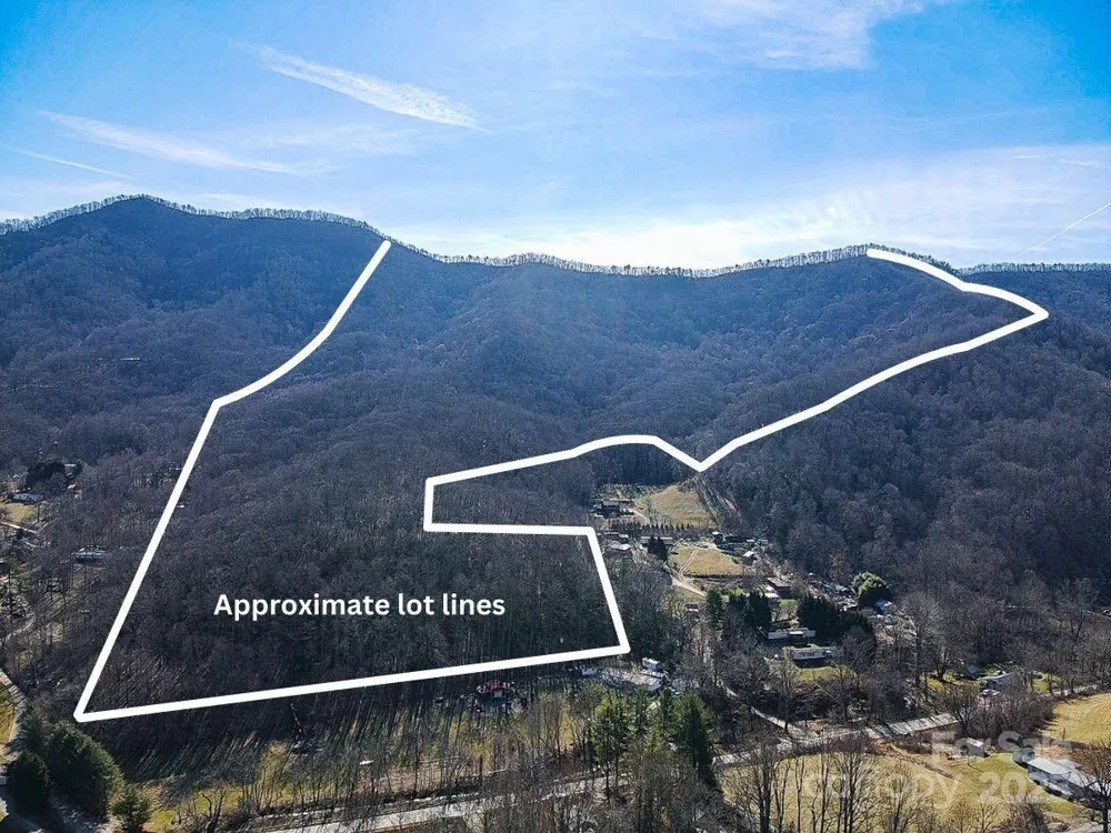 99999 Dark Cove Road Leicester, NC 28748