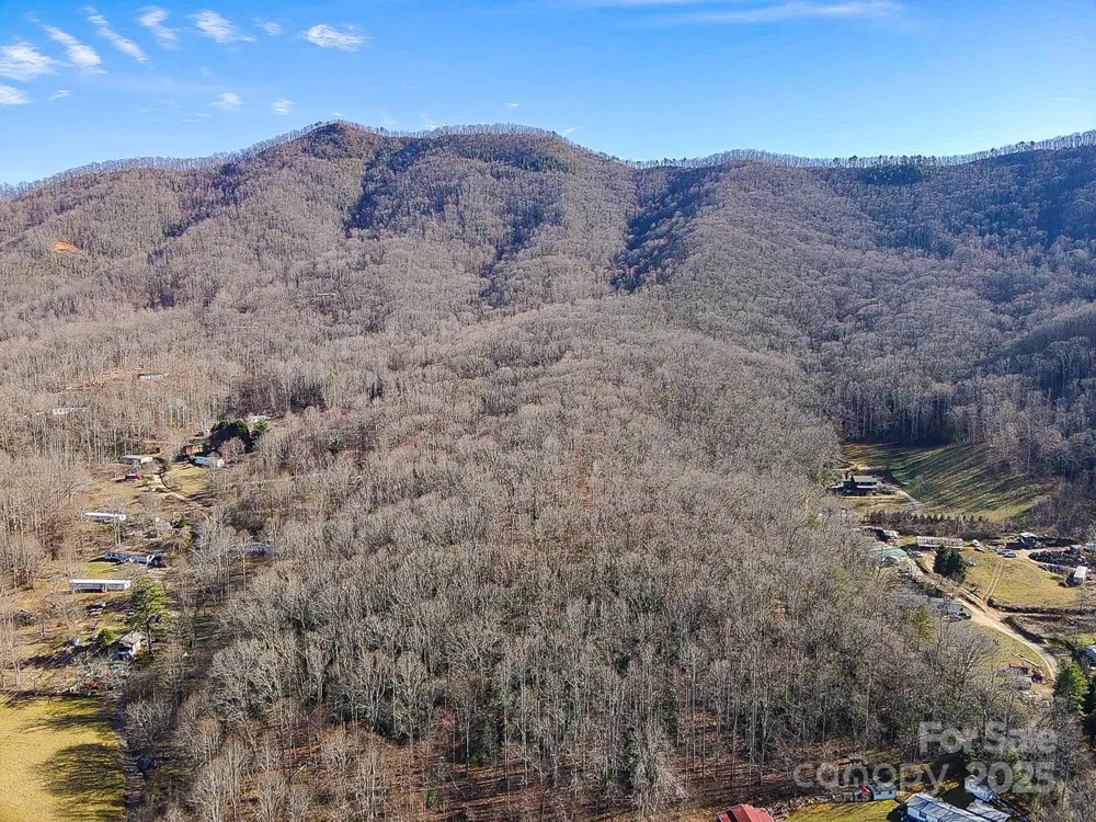 99999 Dark Cove Road Leicester, NC 28748