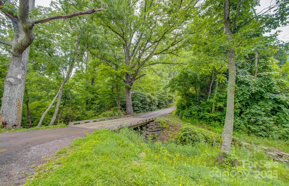 99999 Dark Cove Road Leicester, NC 28748