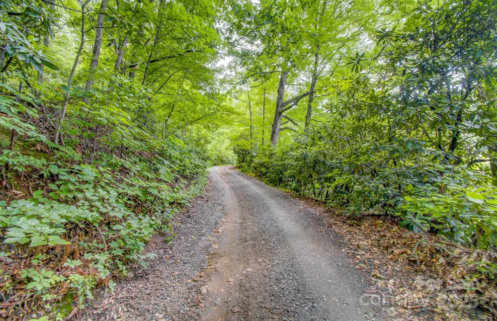 99999 Dark Cove Road Leicester, NC 28748
