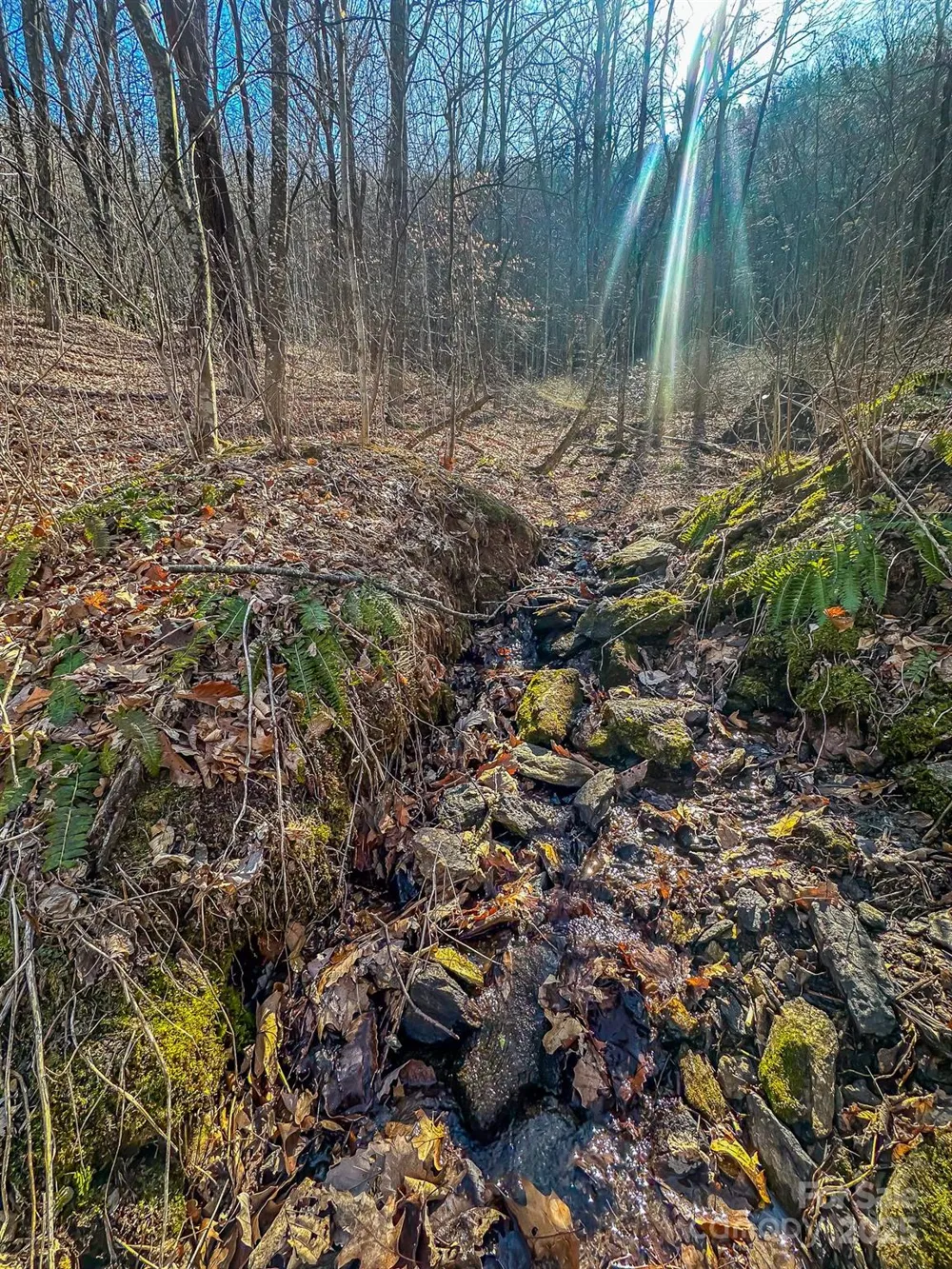 99999 Dark Cove Road Leicester, NC 28748