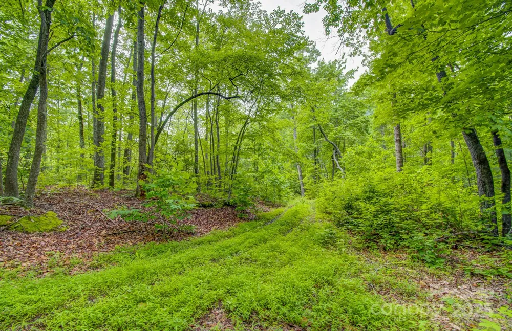 99999 Dark Cove Road Leicester, NC 28748