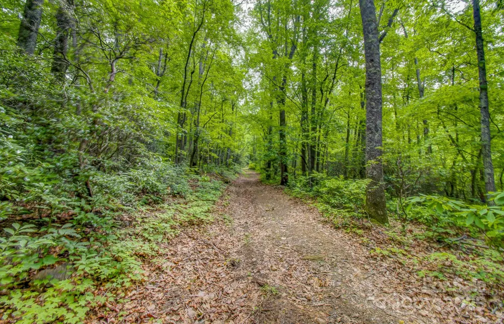 99999 Dark Cove Road Leicester, NC 28748