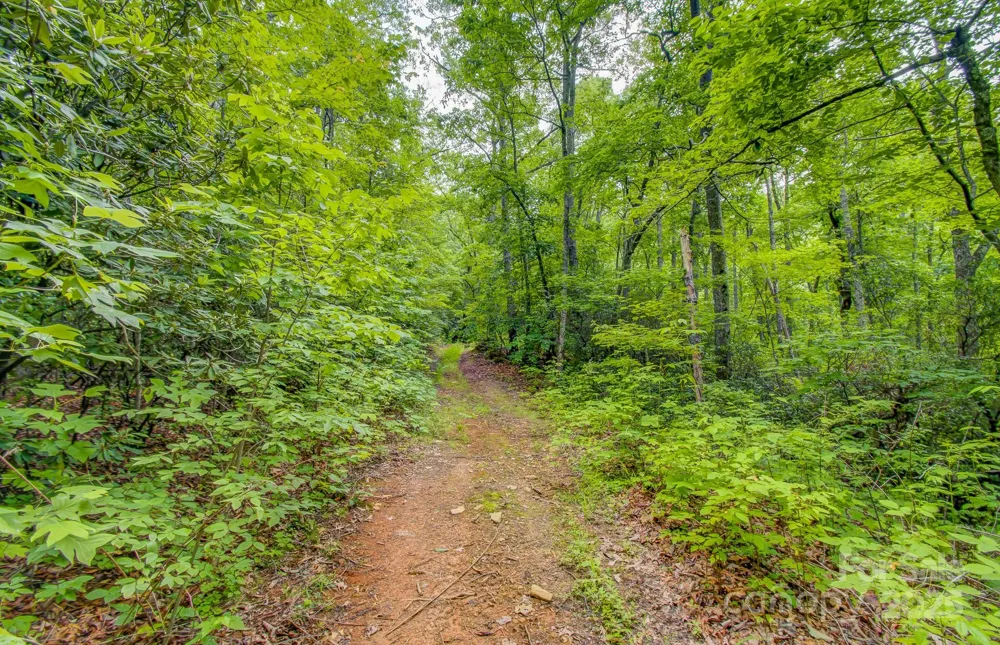 99999 Dark Cove Road Leicester, NC 28748