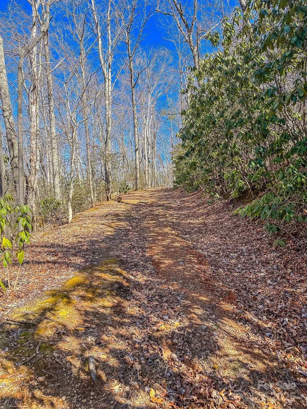 99999 Dark Cove Road Leicester, NC 28748