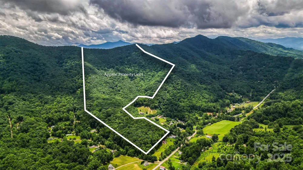 99999 Dark Cove Road Leicester, NC 28748