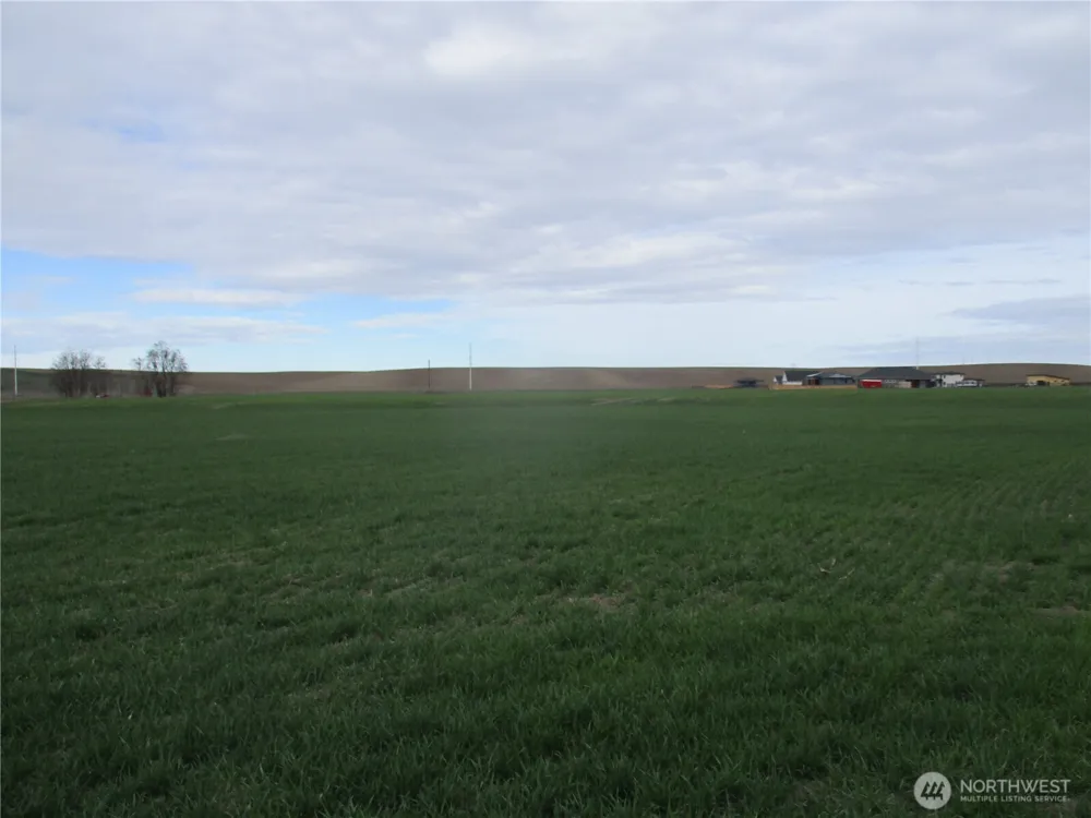0 Bunchgrass Lane Walla Walla, WA 99362
