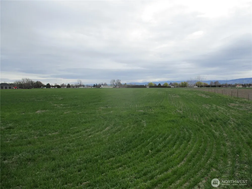 0 Bunchgrass Lane Walla Walla, WA 99362