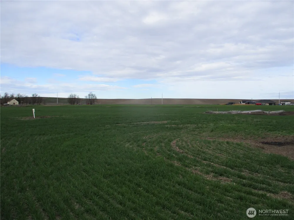 0 Bunchgrass Lane Walla Walla, WA 99362