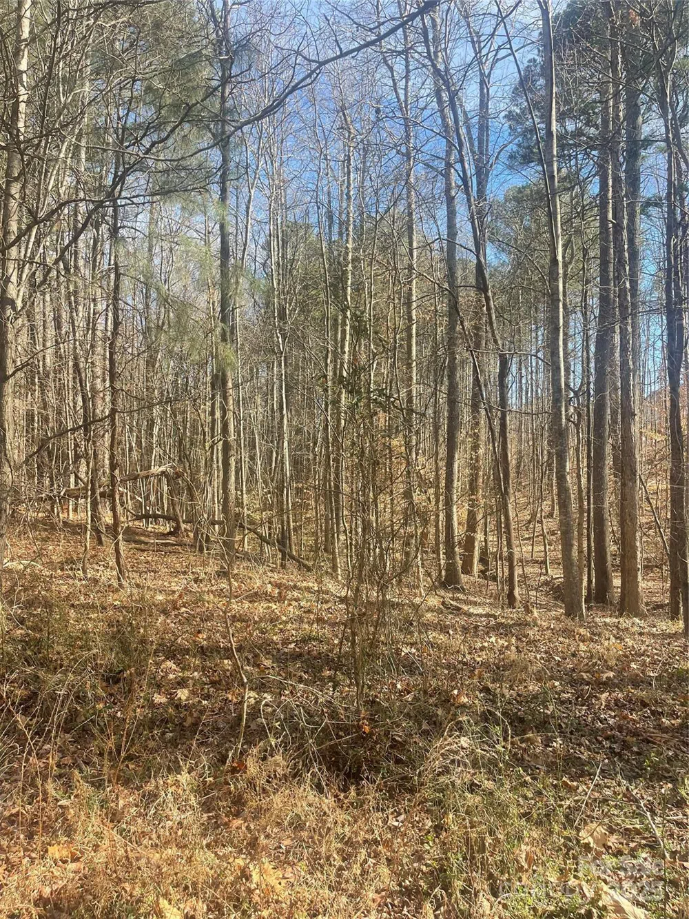 00 Rutan Court Mooresville, NC 28117