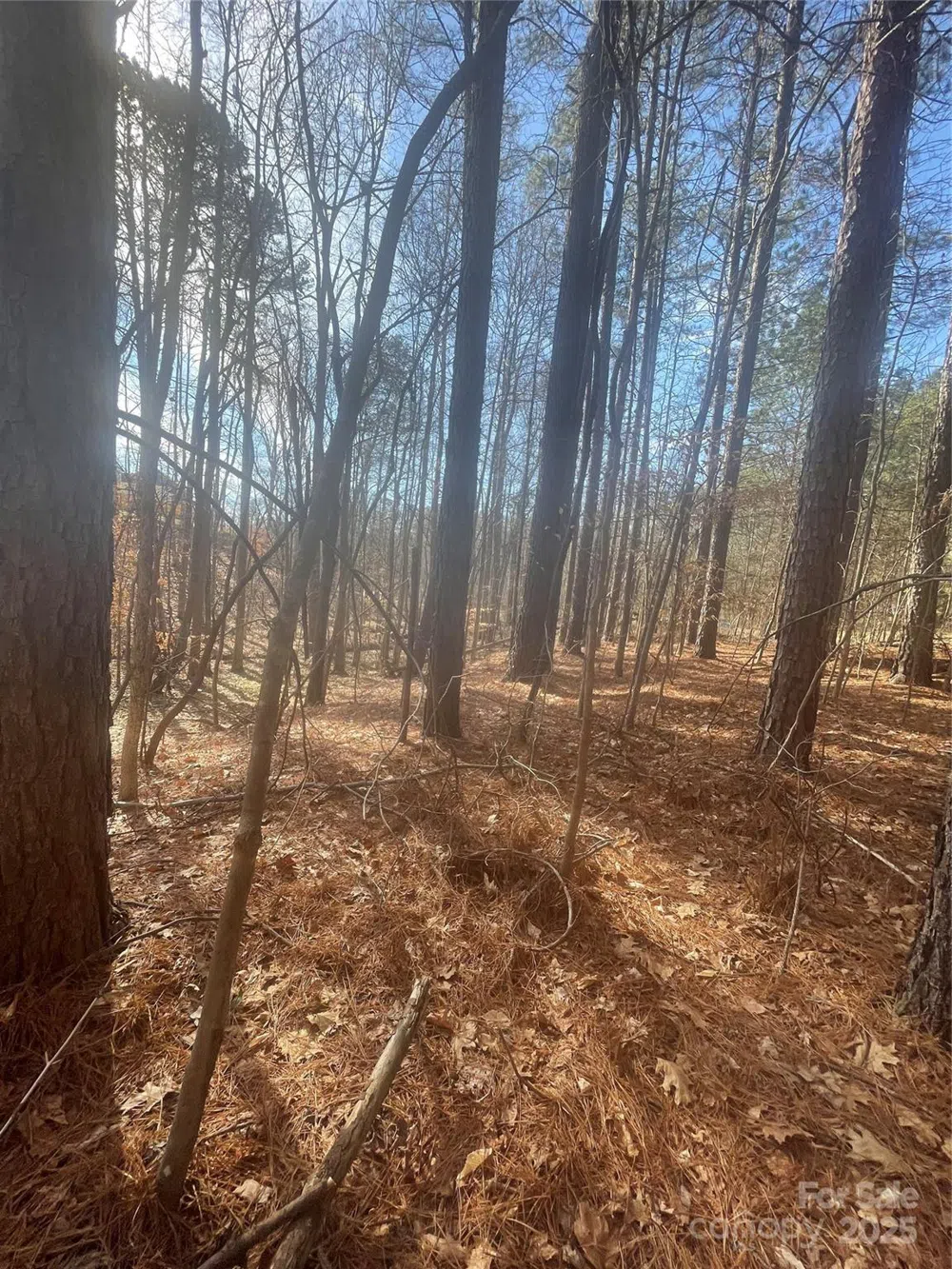 00 Rutan Court Mooresville, NC 28117