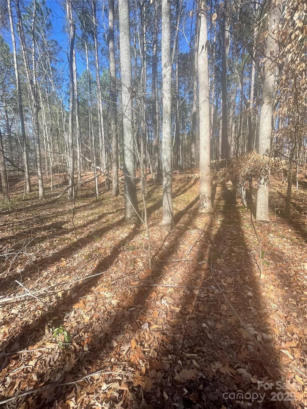 00 Rutan Court Mooresville, NC 28117