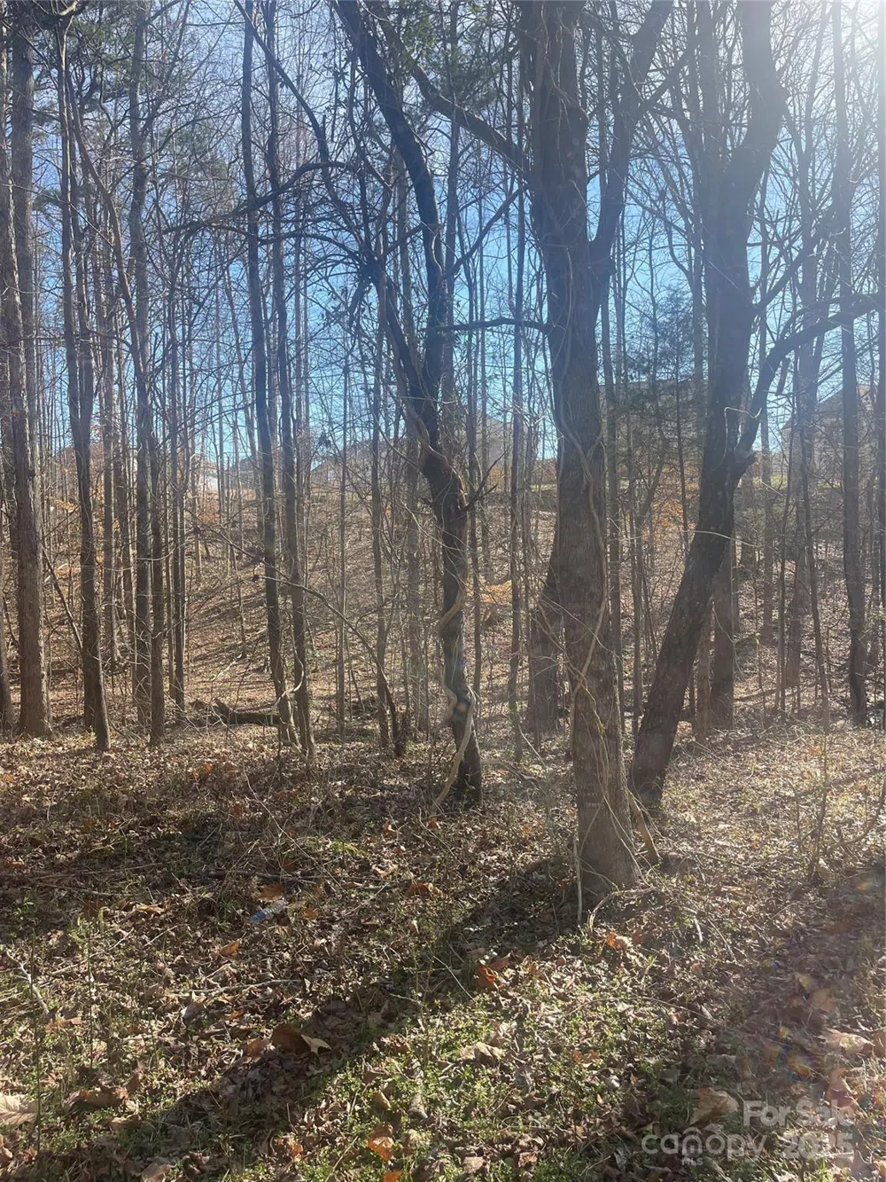 00 Rutan Court Mooresville, NC 28117