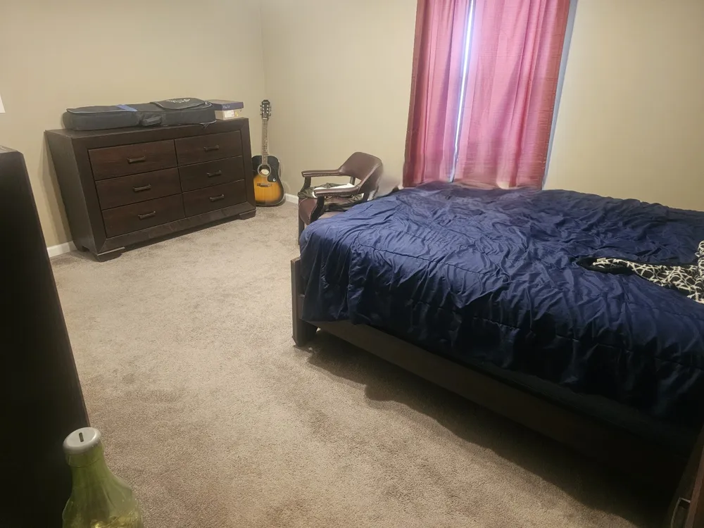315 Peggy Dr Cedar Hill, TN 37032