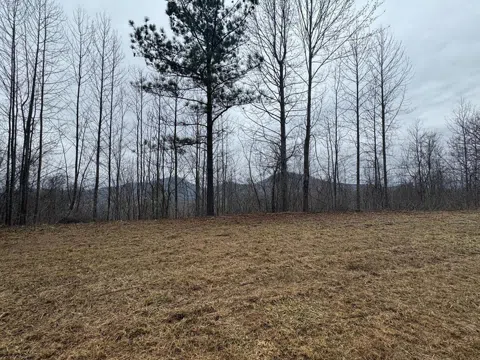 Lot 10 Chatuge Manor