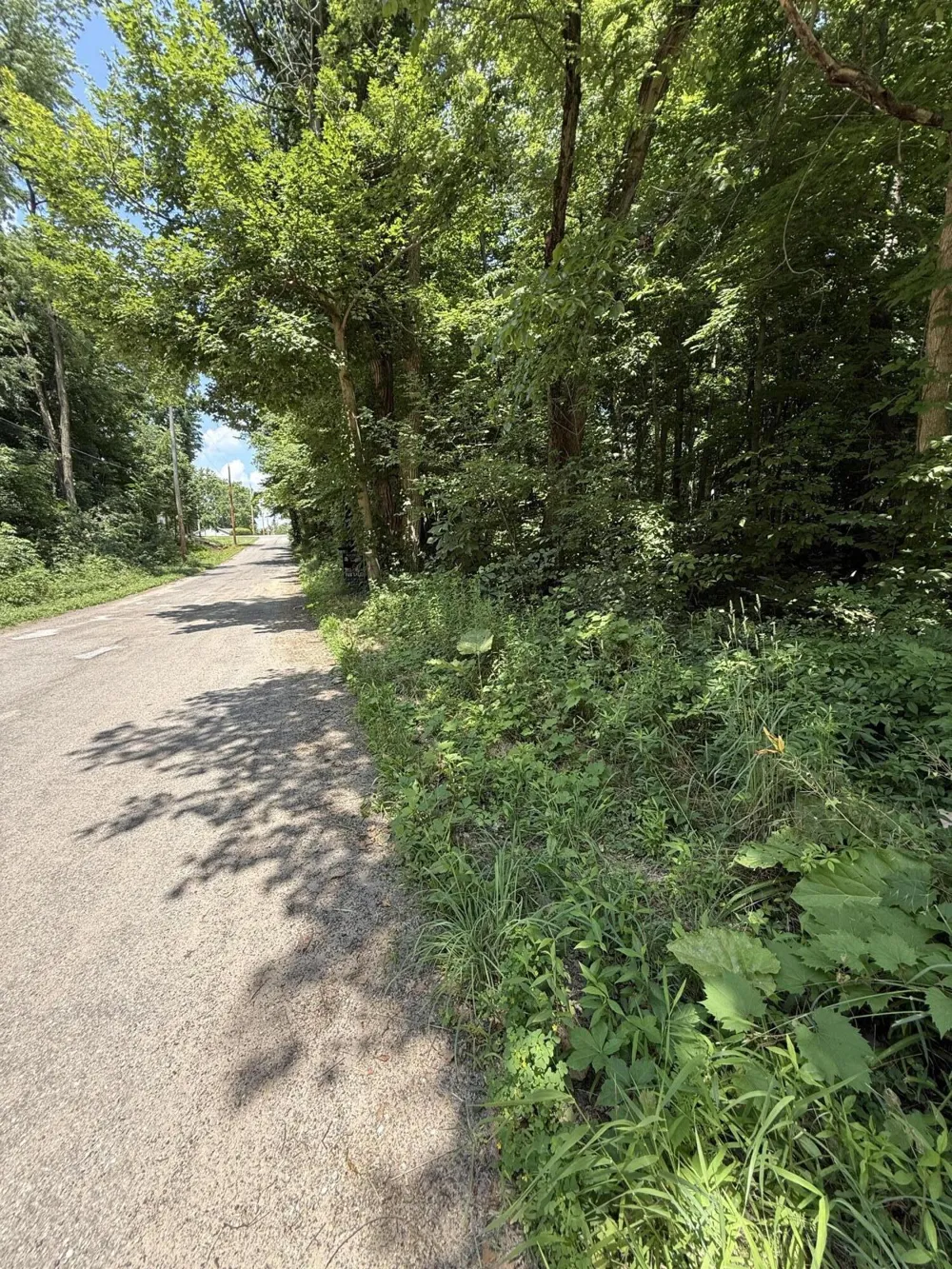 0 Holling Boulevard New Carlisle, IN 46552