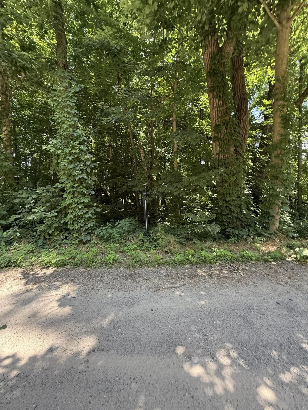 0 Holling Boulevard New Carlisle, IN 46552
