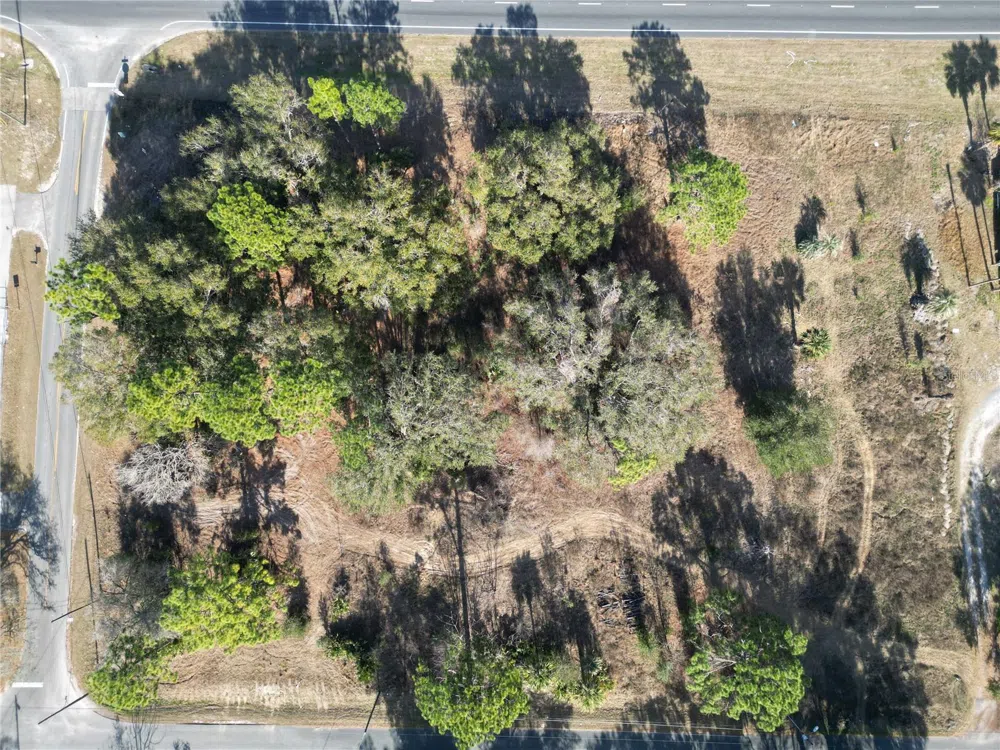 7280 SE 123RD LANE Belleview, FL 34420