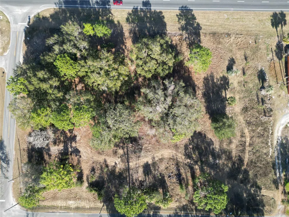 7280 SE 123RD LANE Belleview, FL 34420
