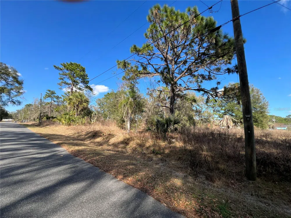 7280 SE 123RD LANE Belleview, FL 34420