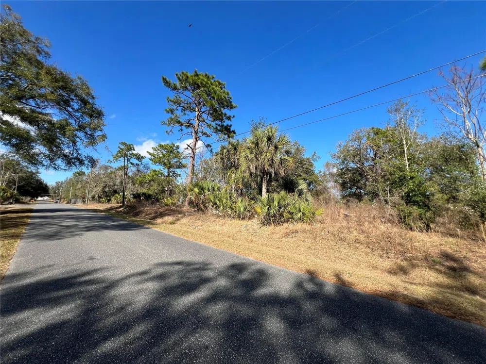 7280 SE 123RD LANE Belleview, FL 34420