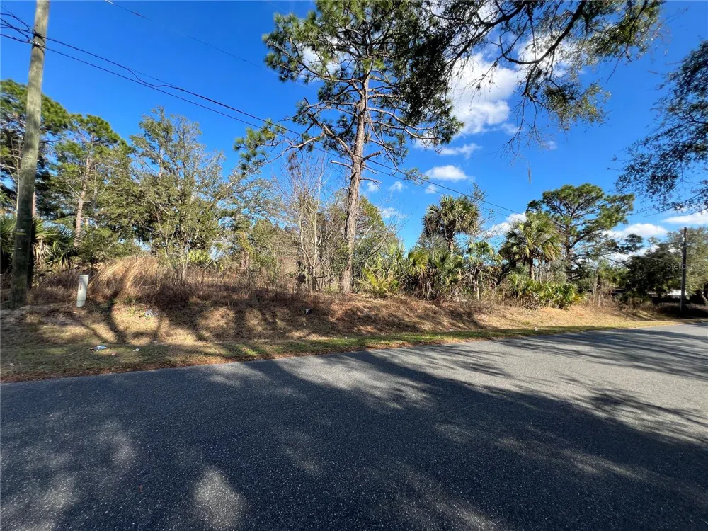 7280 SE 123RD LANE Belleview, FL 34420