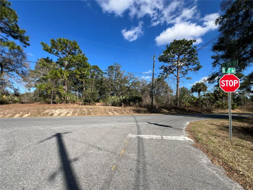 7280 SE 123RD LANE Belleview, FL 34420