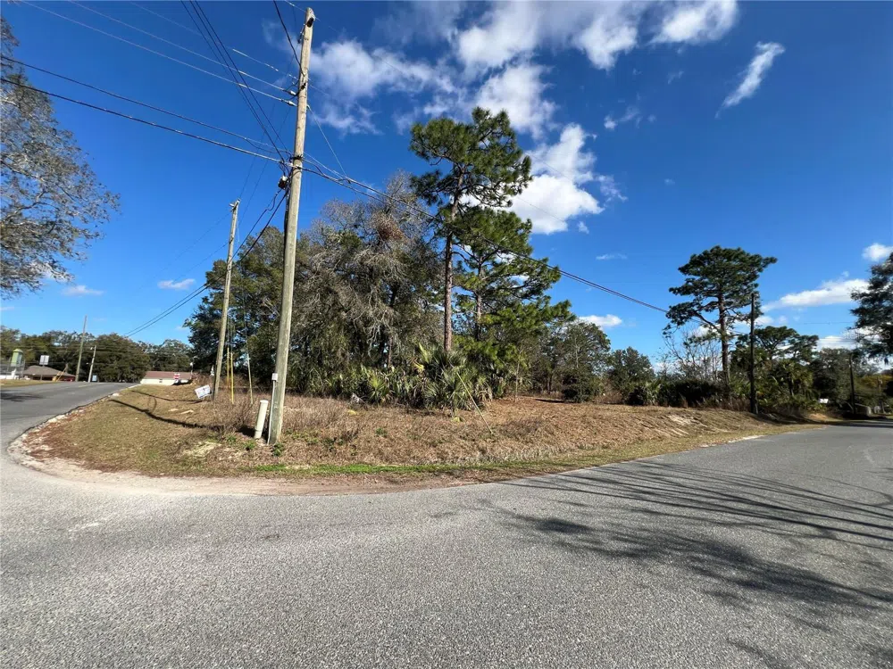 7280 SE 123RD LANE Belleview, FL 34420