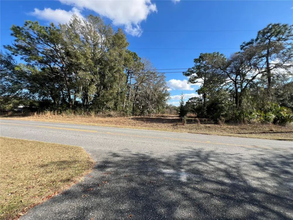 7280 SE 123RD LANE Belleview, FL 34420