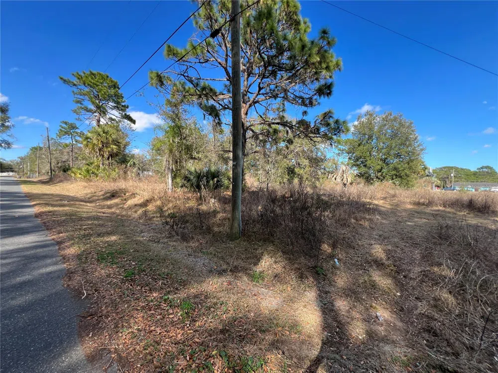 12441 SE 72ND AVENUE Belleview, FL 34420