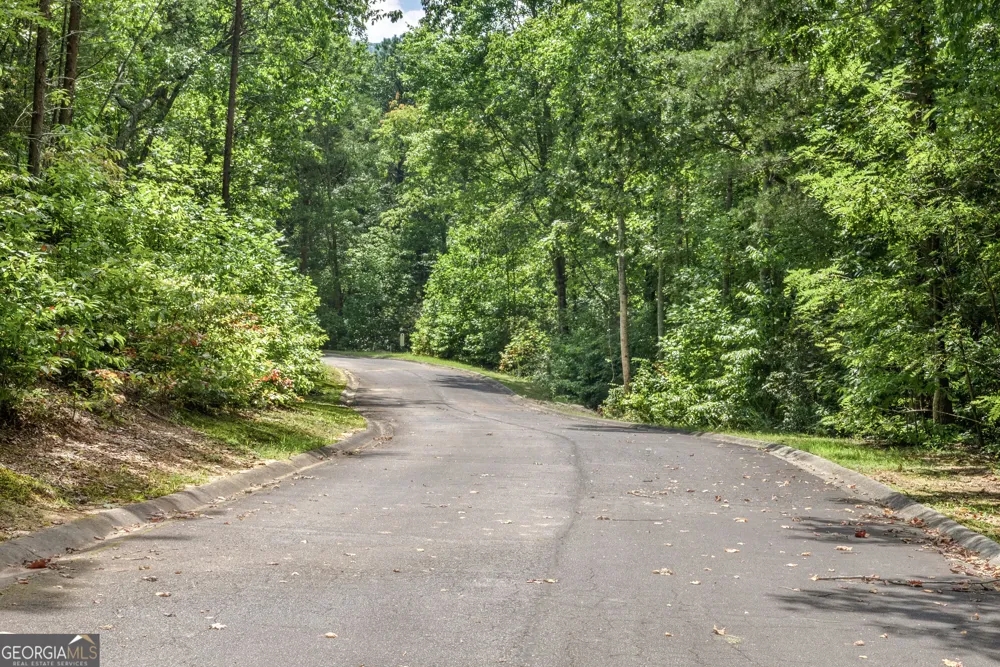 0 Golden LN Clarkesville, GA 30523