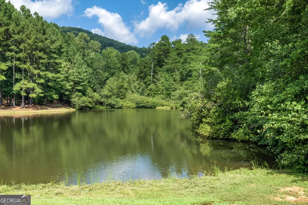 0 Golden LN Clarkesville, GA 30523