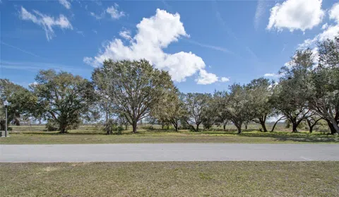 ROYAL PALM DR