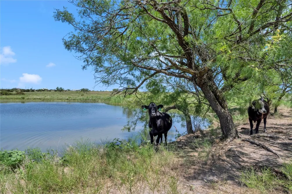 10600 County Road 210 Road Bertram, TX 78605