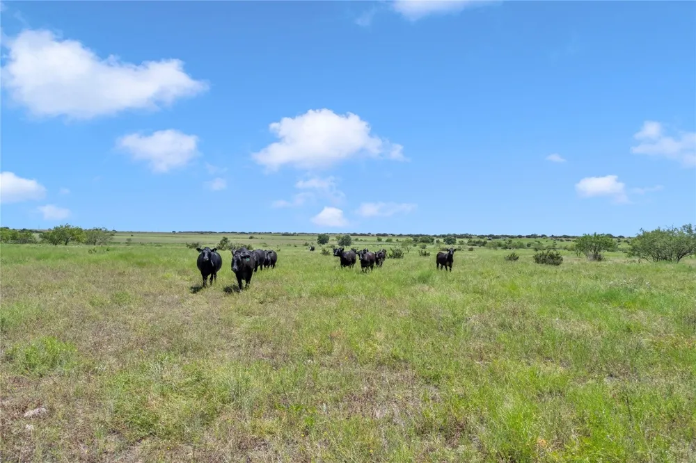 10600 County Road 210 Road Bertram, TX 78605