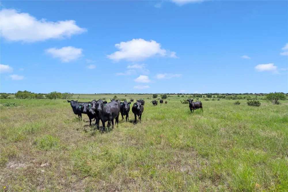 10600 County Road 210 Road Bertram, TX 78605