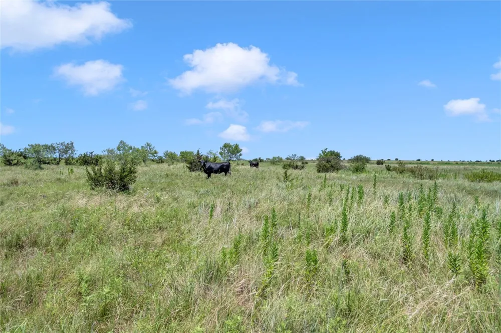 10600 County Road 210 Road Bertram, TX 78605